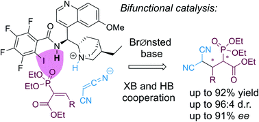Graphical abstract: Enantioselective Michael addition to vinyl phosphonates via hydrogen bond-enhanced halogen bond catalysis