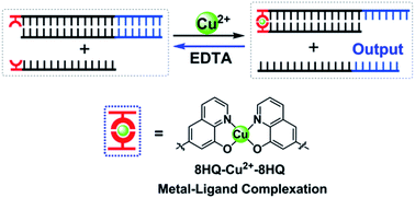 Graphical abstract: Controllable DNA strand displacement by independent metal–ligand complexation