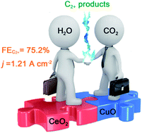Graphical abstract: Efficient electroreduction of CO2 to C2+ products on CeO2 modified CuO