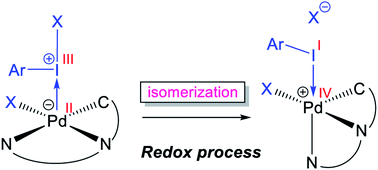 Graphical abstract: The role of hypervalent iodine(iii) reagents in promoting alkoxylation of unactivated C(sp3)–H bonds catalyzed by palladium(ii) complexes