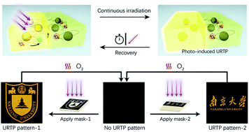 Graphical abstract: Photo-induced ultralong phosphorescence of carbon dots for thermally sensitive dynamic patterning