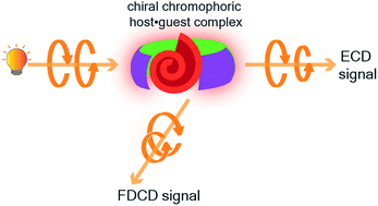 Graphical abstract: Fluorescence detected circular dichroism (FDCD) for supramolecular host–guest complexes
