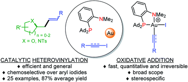 Graphical abstract: Oxidative additions of alkynyl/vinyl iodides to gold and gold-catalyzed vinylation reactions triggered by the MeDalphos ligand