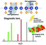 Graphical abstract: Quantification and molecular imaging of fatty acid isomers from complex biological samples by mass spectrometry