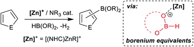 Graphical abstract: Zinc catalysed electrophilic C–H borylation of heteroarenes