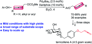 Graphical abstract: A palladium-catalyzed approach to allenic aromatic ethers and first total synthesis of terricollene A