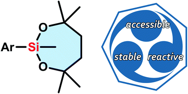 Graphical abstract: The dioxasilepanyl group as a versatile organometallic unit: studies on stability, reactivity, and utility