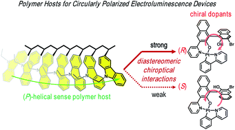 Graphical abstract: Chiral polymer hosts for circularly polarized electroluminescence devices
