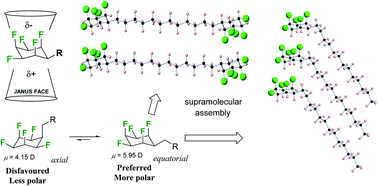 Graphical abstract: Supramolecular packing of alkyl substituted Janus face all-cis 2,3,4,5,6-pentafluorocyclohexyl motifs