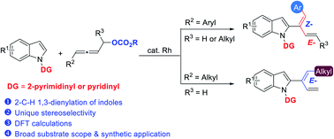 Graphical abstract: Stereoselective rhodium-catalyzed 2-C–H 1,3-dienylation of indoles: dual functions of the directing group