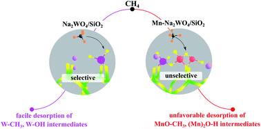 Graphical abstract: A combined computational and experimental study of methane activation during oxidative coupling of methane (OCM) by surface metal oxide catalysts