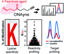 Graphical abstract: A Paal–Knorr agent for chemoproteomic profiling of targets of isoketals in cells