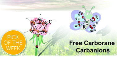 Graphical abstract: Free three-dimensional carborane carbanions