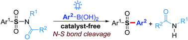 Graphical abstract: Catalyst-free arylation of sulfonamides via visible light-mediated deamination