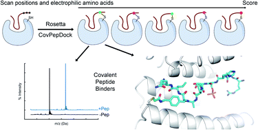 Graphical abstract: Covalent flexible peptide docking in Rosetta