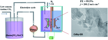 Graphical abstract: Quasi-square-shaped cadmium hydroxide nanocatalysts for electrochemical CO2 reduction with high efficiency