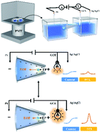Graphical abstract: Design of an electrochemiluminescence detection system through the regulation of charge density in a microchannel
