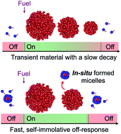 Graphical abstract: Chemically fueled materials with a self-immolative mechanism: transient materials with a fast on/off response