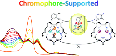 Graphical abstract: A chromophore-supported structural and functional model of dinuclear copper enzymes, for facilitating mechanism of action studies