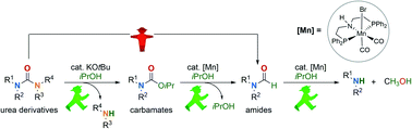 Graphical abstract: Indirect reduction of CO2 and recycling of polymers by manganese-catalyzed transfer hydrogenation of amides, carbamates, urea derivatives, and polyurethanes