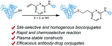 Graphical abstract: Rapid and robust cysteine bioconjugation with vinylheteroarenes