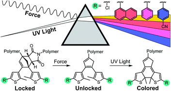Graphical abstract: A modular approach to mechanically gated photoswitching with color-tunable molecular force probes