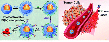 Graphical abstract: An erythrocyte-delivered photoactivatable oxaliplatin nanoprodrug for enhanced antitumor efficacy and immune response