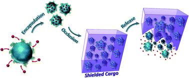 Graphical abstract: Incorporation of nanogels within calcite single crystals for the storage, protection and controlled release of active compounds
