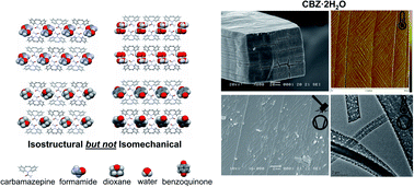 Graphical abstract: Understanding stress-induced disorder and breakage in organic crystals: beyond crystal structure anisotropy