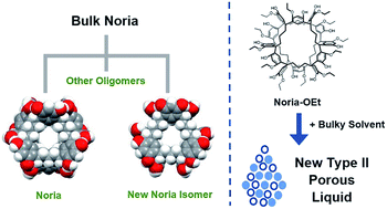Graphical abstract: Noria and its derivatives as hosts for chemically and thermally robust Type II porous liquids