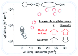 Graphical abstract: IR linewidth and intensity amplifications of nitrile vibrations report nuclear-electronic couplings and associated structural heterogeneity in radical anions
