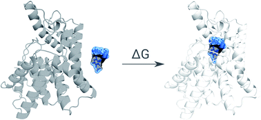 Graphical abstract: Alchemical absolute protein–ligand binding free energies for drug design