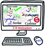 Graphical abstract: MD simulations and QM/MM calculations reveal the key mechanistic elements which are responsible for the efficient C–H amination reaction performed by a bioengineered P450 enzyme