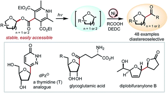Graphical abstract: Synthesis of C-acyl furanosides via the cross-coupling of glycosyl esters with carboxylic acids