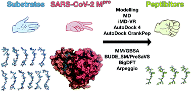 Graphical abstract: Discovery of SARS-CoV-2 Mpro peptide inhibitors from modelling substrate and ligand binding