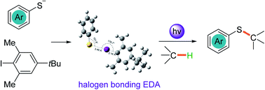 Graphical abstract: A photoexcited halogen-bonded EDA complex of the thiophenolate anion with iodobenzene for C(sp3)–H activation and thiolation