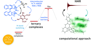 Graphical abstract: Ternary complexes of chiral disulfonimides in transfer-hydrogenation of imines: the relevance of late intermediates in ion pair catalysis