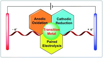 Graphical abstract: Transition metal-catalyzed organic reactions in undivided electrochemical cells
