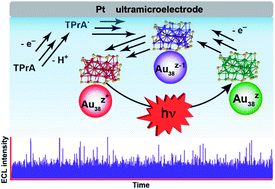 Graphical abstract: Monitoring single Au38 nanocluster reactions via electrochemiluminescence