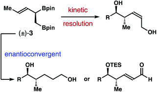 Graphical abstract: Catalytic asymmetric transformations of racemic α-borylmethyl-(E)-crotylboronate via kinetic resolution or enantioconvergent reaction pathways