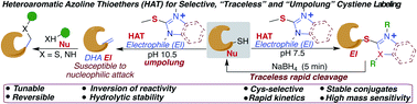 Graphical abstract: Tunable heteroaromatic azoline thioethers (HATs) for cysteine profiling