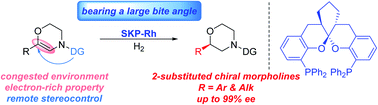 Graphical abstract: Asymmetric hydrogenation for the synthesis of 2-substituted chiral morpholines