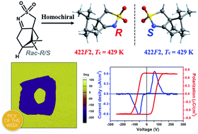 Graphical abstract: Highest-Tc single-component homochiral organic ferroelectrics