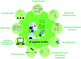 Graphical abstract: Natural product drug discovery in the artificial intelligence era