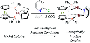 Graphical abstract: Inhibition of (dppf)nickel-catalysed Suzuki–Miyaura cross-coupling reactions by α-halo-N-heterocycles