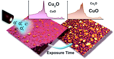 Graphical abstract: Plasma-assisted oxidation of Cu(100) and Cu(111)