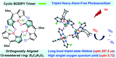 Graphical abstract: Orthogonally aligned cyclic BODIPY arrays with long-lived triplet excited states as efficient heavy-atom-free photosensitizers