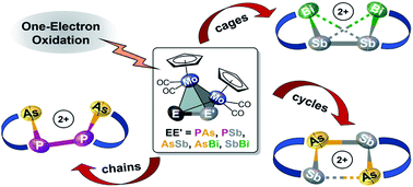 Graphical abstract: Structural diversity of mixed polypnictogen complexes: dicationic E2E′2 (E ≠ E′ = P, As, Sb, Bi) chains, cycles and cages stabilized by transition metals