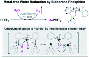 Graphical abstract: Proton to hydride umpolung at a phosphonium center via electron relay: a new strategy for main-group based water reduction