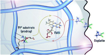 Graphical abstract: Metal substrate catalysis in the confined space for platinum drug delivery